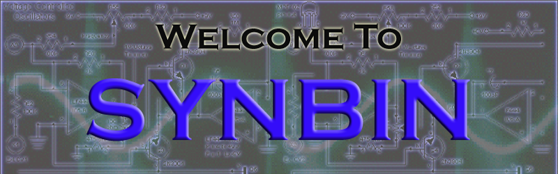 Welcome to SynBin